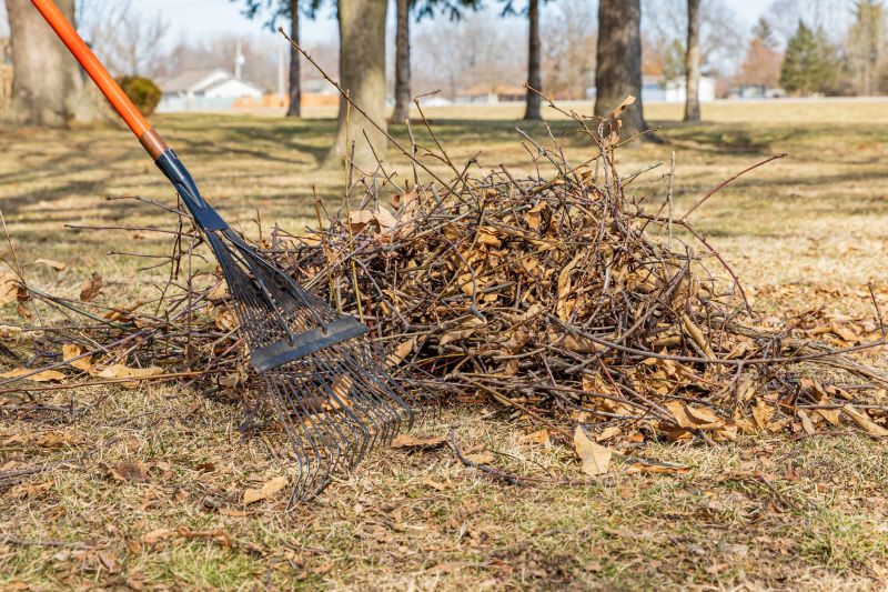 Yard Debris Removal Service