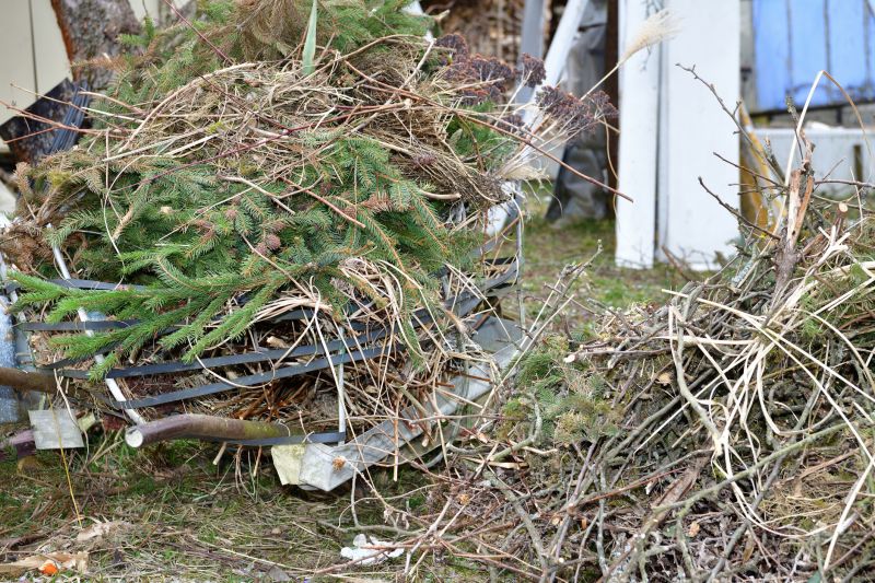 Tree Limb Pickup Services Overview
