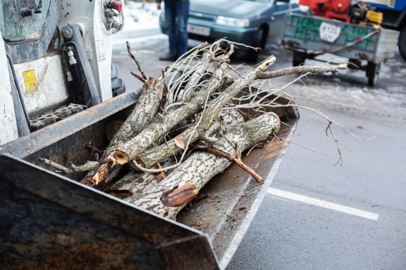 Service Locations for Tree Limb Pick Up