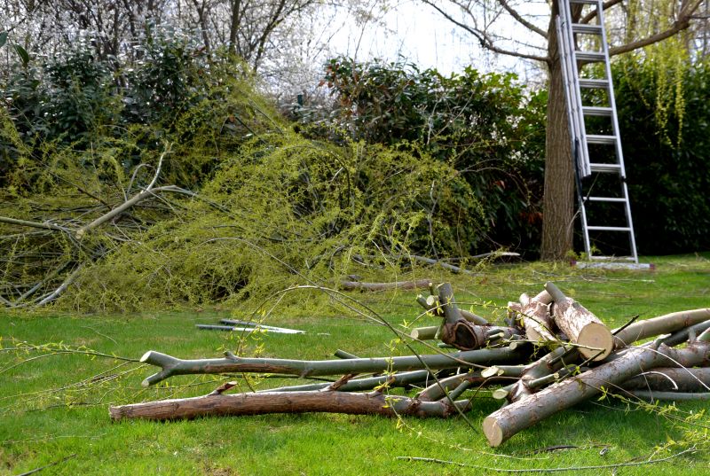 Tree Limb Pick Up