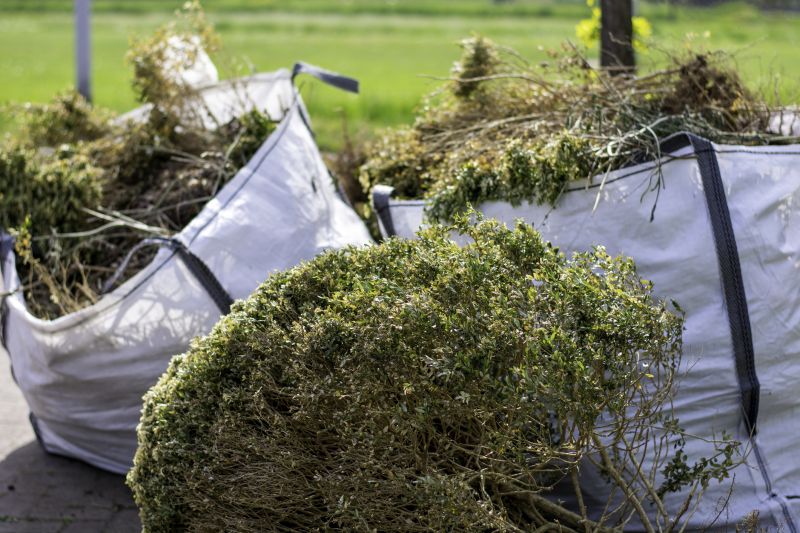 Bush Pruning in Ventura County, CA