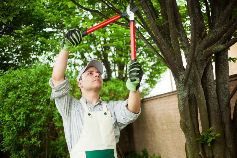 Tree Limb Pick Up Cost — Cost of Tree Limb Pick Up