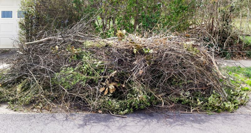 Tree Limb Pick Up Cost — Cost of Tree Limb Pick Up