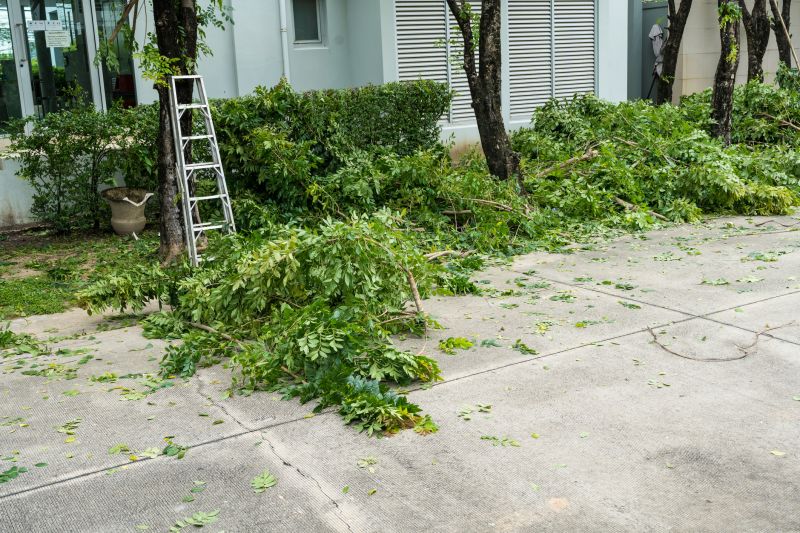 Tree Limb Pick Up Cost — Cost of Tree Limb Pick Up